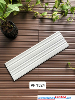Việt Nhật VF 1524